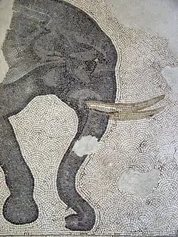 Elephant