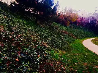 Embankment in the center of the park.