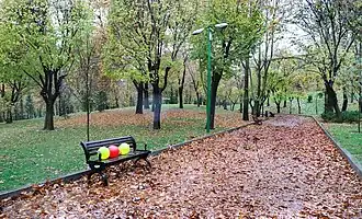 Mellat Park in autumn