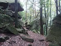 Rock formations in forest