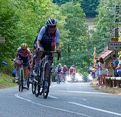 Riders cycling in a line up a street on a forested hill