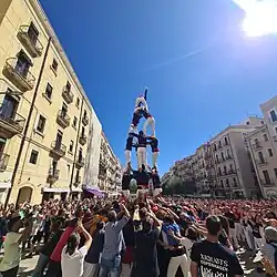 4d6 built in Tarragona in 2022