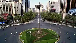 A sick palm tree stands in the middle of a traffic circle
