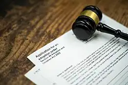 Application for adoption papers placed on a wooden surface with a gavel placed on top.