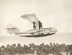Aircraft over palm trees