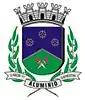Coat of arms of Alumínio