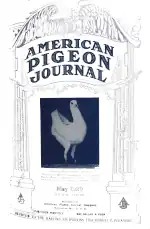 American Pigeon Journal 1920 October cover page