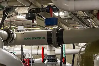 View of the complex aquarium pipework.