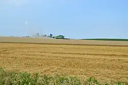 Wheat harvest along New Haven-Shawneetown Road