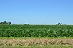 Fields west of Ashkum