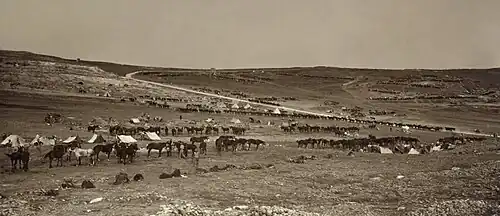 A wide angle view of an encampment on a hill, there are horses in the foreground and light coloured tents