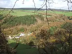 houses in wooded valley with green fields on the hill beyond