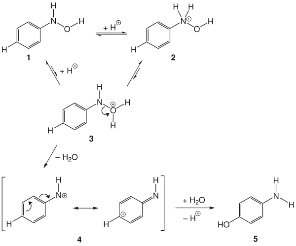 The mechanism of the Bamberger rearrangement