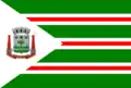 Flag of Pitangueiras