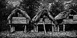 Barns in Saberio, 1884