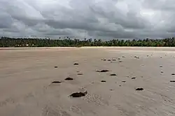 Beach in Barra de São Miguel