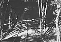 The narrow-gauge railway track that supplied the entire Hel Fortified Area, 1939