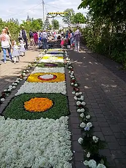 A floral carpet and one of two gates at the back, June 2021