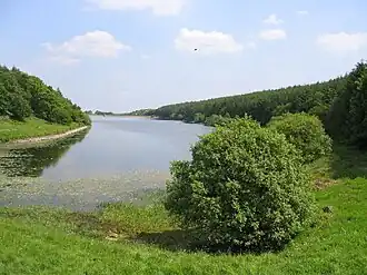 A long thin lake reaching into the distance, with trees surrounding the lake