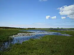A marshy landscape of reeds, grass, water lilies and open water under blue skies with some white, fluffy clouds at left. A stone house sits on the horizon in the distance.
