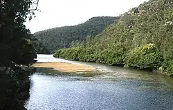 Junction of Berowra and Calna Creeks