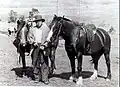 Bill Ah Chow with horses - probably at Ensay.