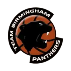 Birmingham Panthers logo