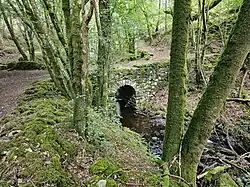 Bont y Llew, Lion Bridge, on an old winter driveway of Nannau