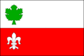 Flag of Bordovice