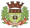 Coat of arms of Fontoura Xavier