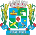 Official seal of Pirapetinga