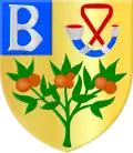 Coat of arms of Brongerga