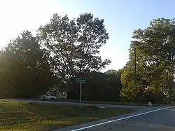 Late afternoon, October, 2016