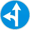 Г5 Turn left or go straight ahead
