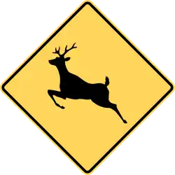 Deer area.