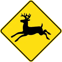 Deer crossing