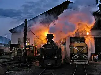 Viseul de Sus Railway