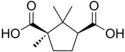 Skeletal formula of camphoric acid