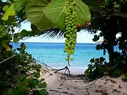 Campsite at Flamenco Beach