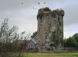 Synone Castle lies approximately 1.5km to the east of Boherlahan