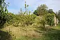 View of part of the chartreuse orchard and vegetable garden.