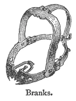 A scold's bridle, having a hinged iron framework to enclose the head and a bit or gag to fit into the mouth and compress the tongue