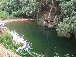 Charco El Mangó in Limaní