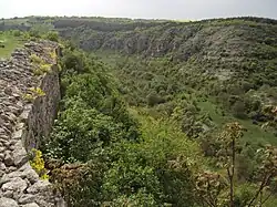 The canyon of the Cherni Lom