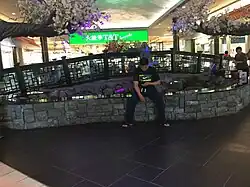 Chinatown, June 8, 2017