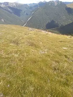 A field of green grass high the mountains with mountains in the distance