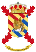 Coat of Arms of the Emergency Intervention and Support Regiment (RAIEM)