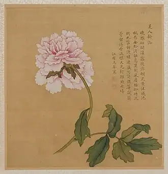 Flower Painted on a Folded Leaf (设色花卉折页), Shenzhen Museum