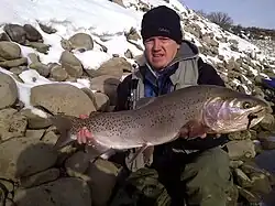 Photo of man hold a very large trout
