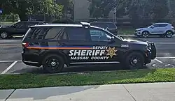 Nassau County deputy sheriff Dodge Durango.